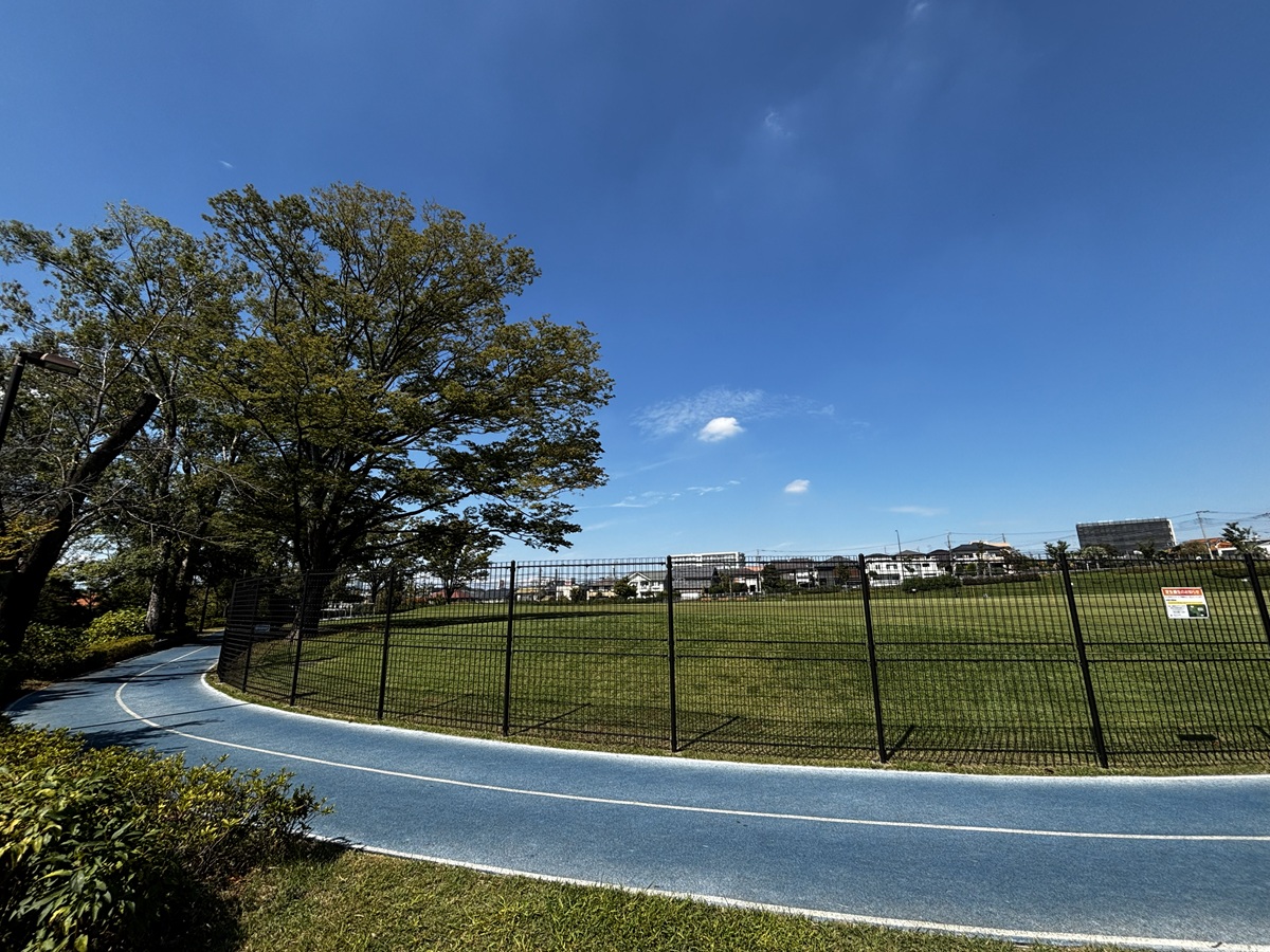 鶴間公園の練習環境